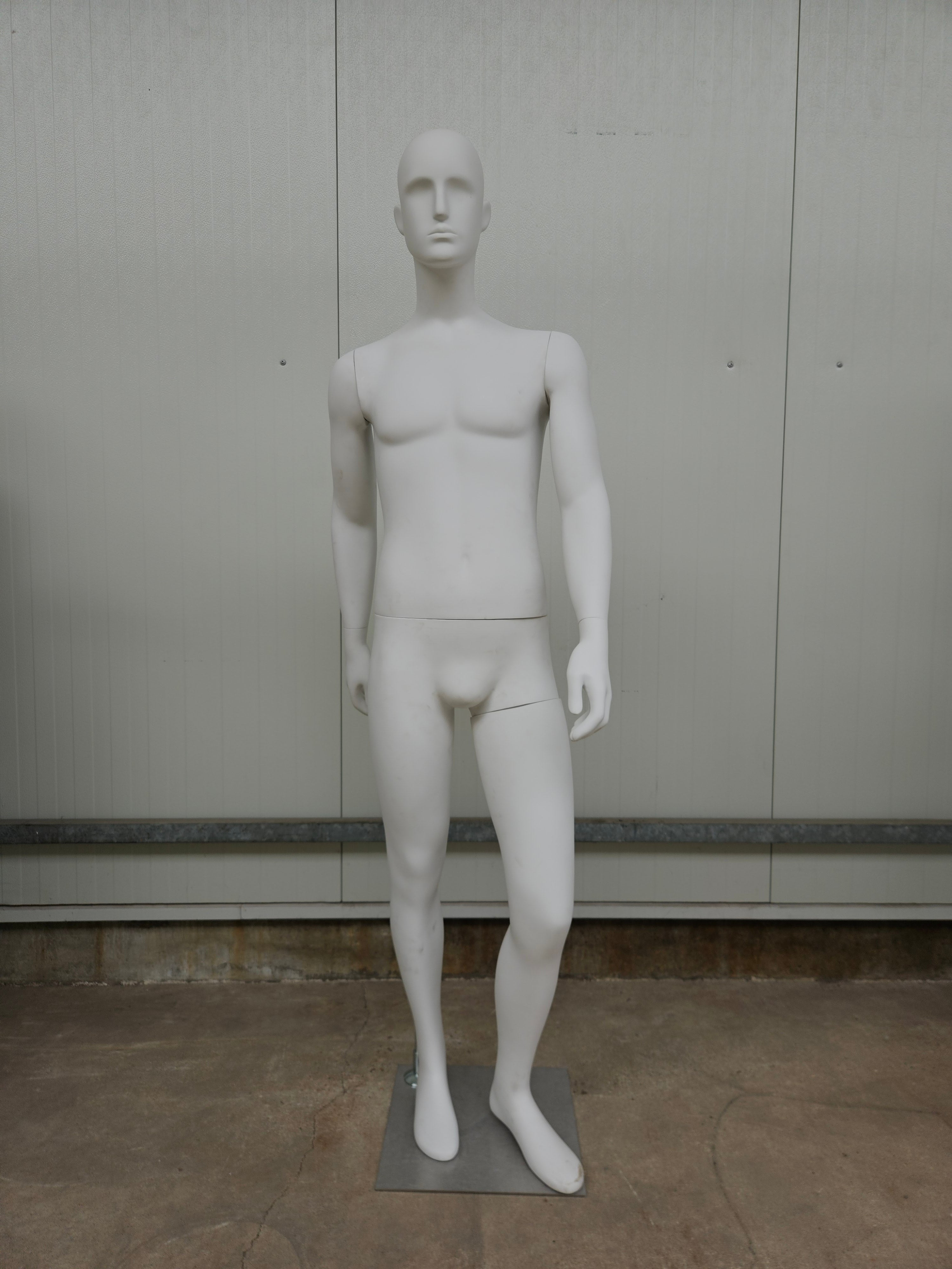 Mannequins male matt white