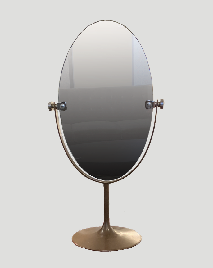 Mirror table model