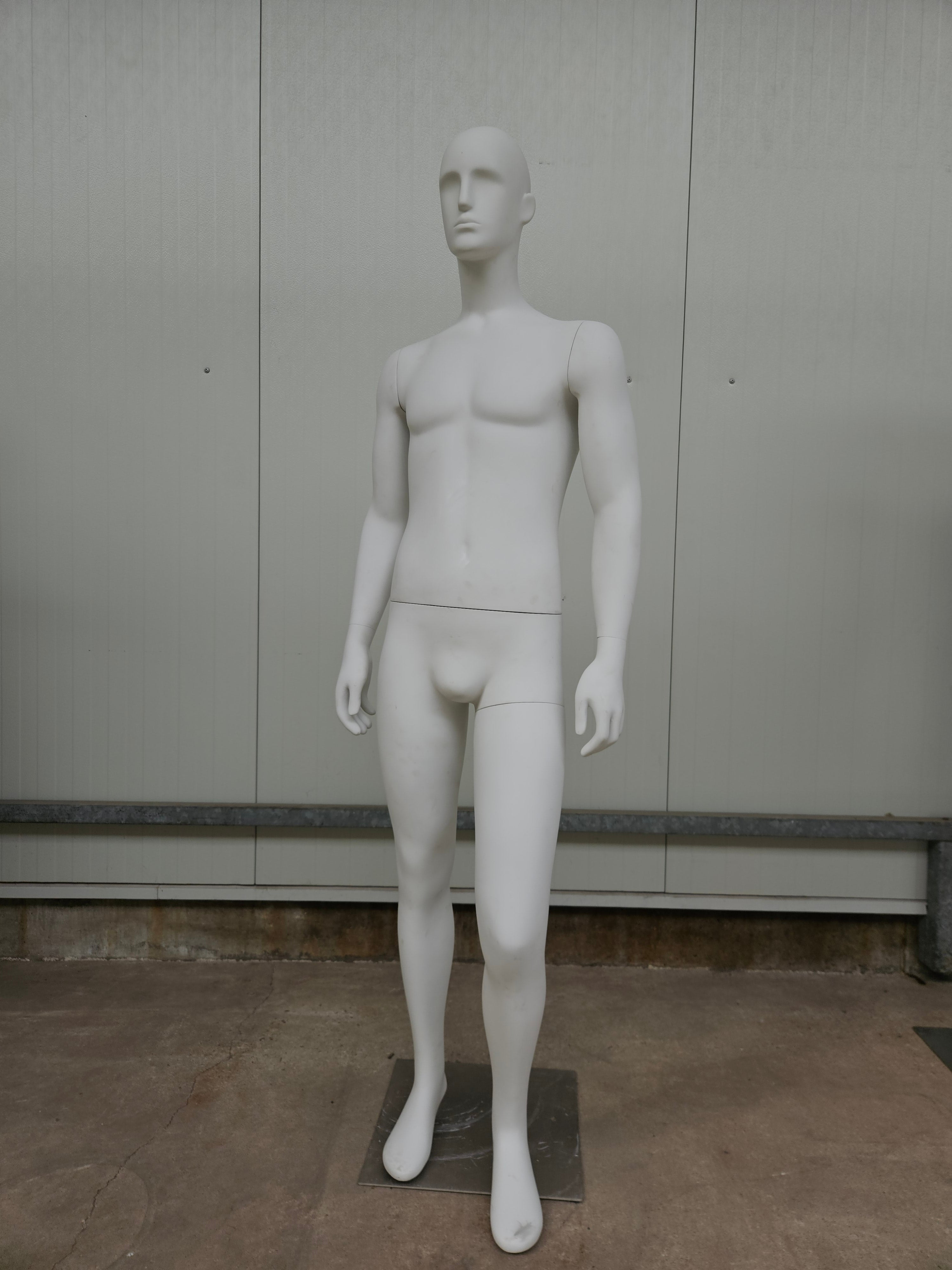Mannequins male matt white