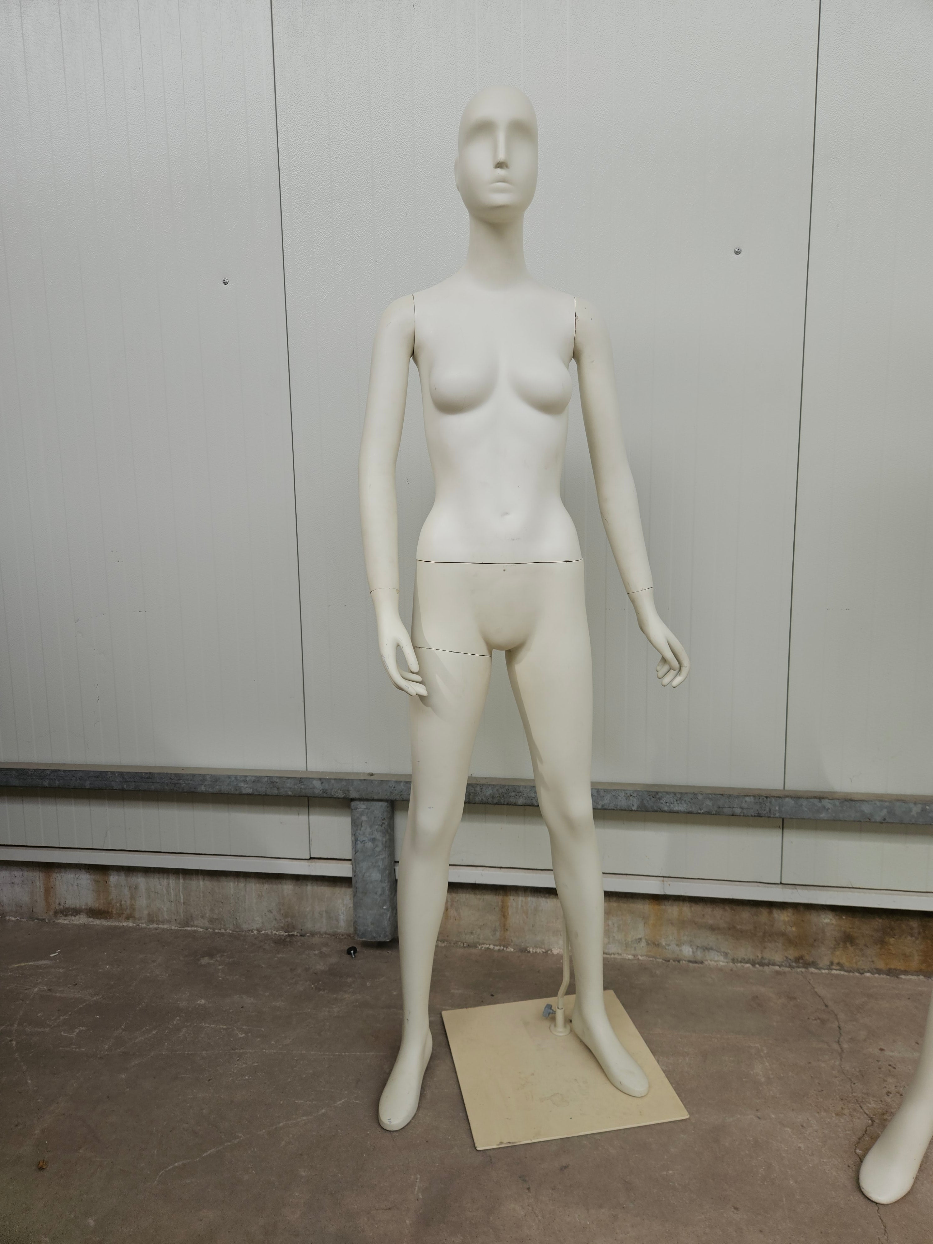 Mannequins female matt white